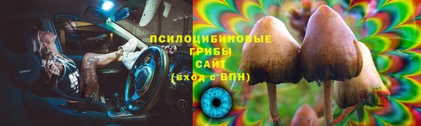 экстази Белокуриха