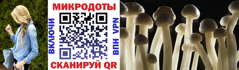 Псилоцибиновые грибы Cubensis Севск